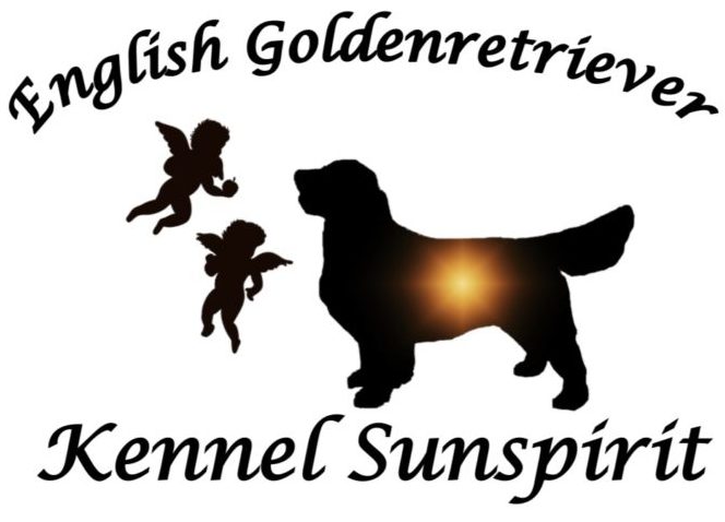 英国ゴールデン　Kennel Sunspirit